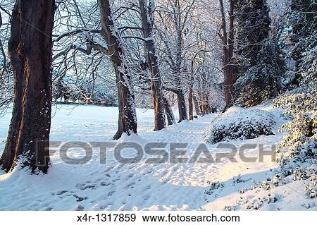Winter in St Anne's Park, Dublin, Ireland View Large Photo Image Stock Photo - Winter in St Anne's Park, Dublin, Ireland. Fotosearch