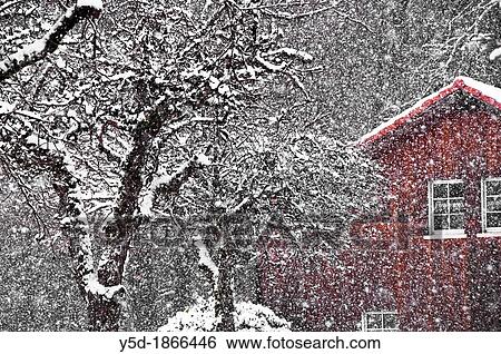 Stock Photograph - winter landscape, heavy snowfall, Promasens, Fribourg canton, Switzerland. Fotosearch