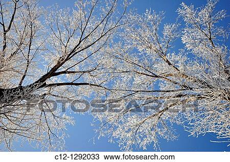 Winter landscape, Lombardy, Italy. View Large Photo Image Stock Image - Winter landscape, Lombardy, Italy.. Fotosearch