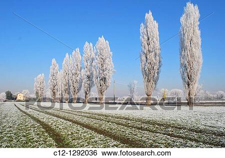 Winter landscape, Lombardy, Italy. View Large Photo Image Stock Photograph - Winter landscape, Lombardy, Italy.. Fotosearch
