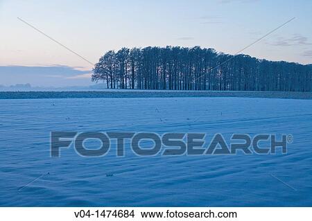 Picture - Winter landscape, Lower Saxony, Germany, Europe. Fotosearch