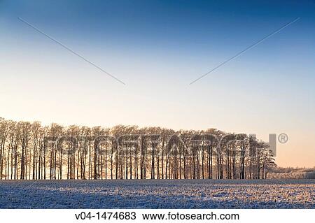 Winter landscape, Lower Saxony, Germany, Europe View Large Photo Image Stock Image - Winter landscape, Lower Saxony, Germany, Europe. Fotosearch