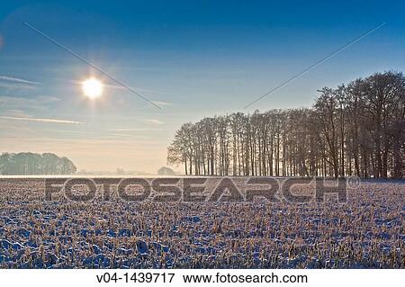 Winter landscape, Lower Saxony, Germany, Europe View Large Photo Image Stock Photo - Winter landscape, Lower Saxony, Germany, Europe. Fotosearch