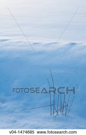 Stock Photography - Winter landscape, Lower Saxony, Germany, Europe. Fotosearch