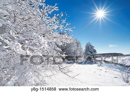 Stock Photo - Winter landscape, Mazowsze region, Poland, Europe. Fotosearch