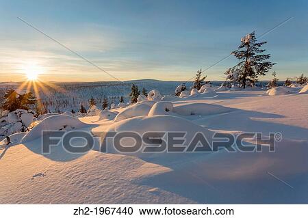 Winter landscape on mount Hirvas in February in direct light in afternoon sunlight in G? llivare, swedish lapland. View Large Photo Image Stock Image - Winter landscape on mount Hirvas in February in direct light in afternoon sunlight in G? llivare, swedish lapland.. Fotosearch