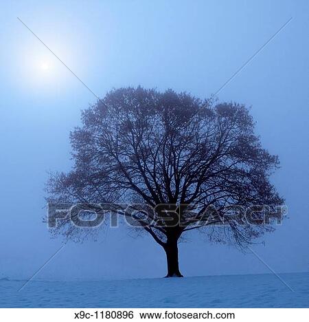 Winter Landscape View Large Photo Image Stock Photograph - Winter Landscape. Fotosearch