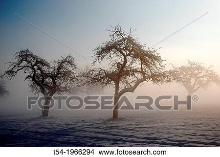Winter morning in Bavaria View Large Photo Image Picture - Winter morning in Bavaria. Fotosearch