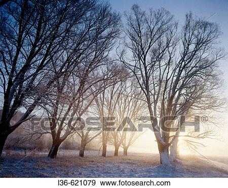 Winter morning View Large Photo Image Stock Photo - Winter morning. Fotosearch
