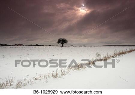 Winter near Drohiczyn Eastern Poland View Large Photo Image Stock Photo - Winter near Drohiczyn Eastern Poland. Fotosearch