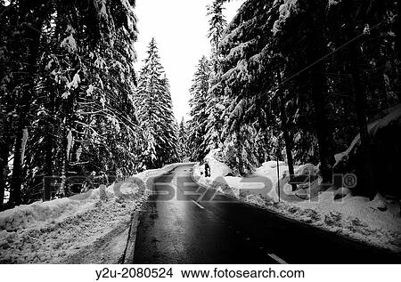 Winter road with trees and snow in ticino switzerland. View Large Photo Image Picture - Winter road with trees and snow in ticino switzerland.. Fotosearch