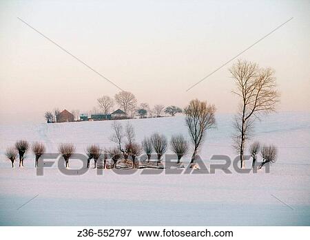 Stock Photo - Winter scene Slomniki of Poland. Fotosearch