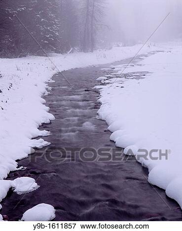Winter snow and fog along creek, Wallowa Lake State Park, northeast Oregon, USA View Large Photo Image Stock Photo - Winter snow and fog along creek, Wallowa Lake State Park, northeast Oregon, USA. Fotosearch