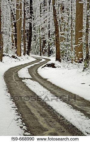 Winter, Snow, Road, Tracks, Greenbrier, Great Smoky Mountains National Park, Tennessee, USA View Large Photo Image Stock Image - Winter, Snow, Road, Tracks, Greenbrier, Great Smoky Mountains National Park, Tennessee, USA. Fotosearch