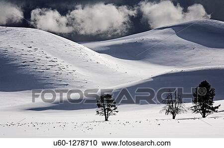 Stock Image - Winter storm clouds enter Hayden Valley at Yellowstone National Park, Wyoming. Fotosearch