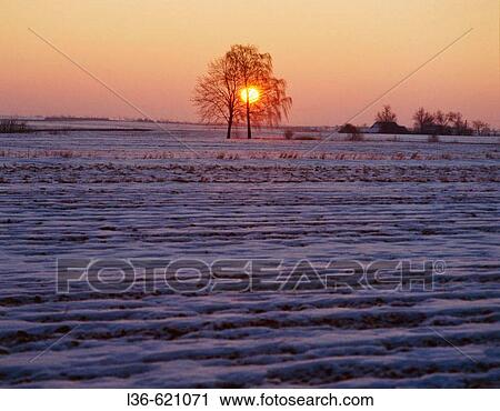 Stock Image - Winter sunrise. Central Poland. Fotosearch