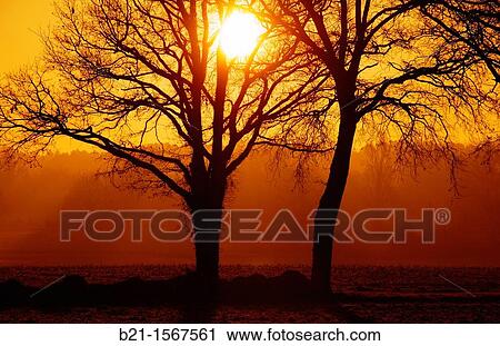 Winter sunrise near Beaupouyet, Dordogne, Aquitaine, France View Large Photo Image Stock Image - Winter sunrise near Beaupouyet, Dordogne, Aquitaine, France. Fotosearch