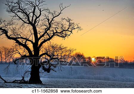 winter, sunrise, sussex, england, uk, europe View Large Photo Image Stock Photo - winter, sunrise, sussex, england, uk, europe. Fotosearch