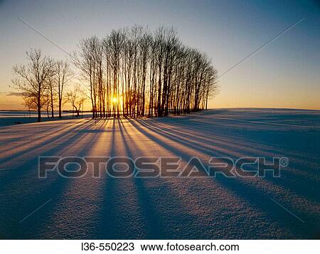 Stock Image - Winter sunset. Suwalki region, Northern Poland. Fotosearch