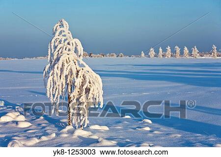 Stock Image - Winter, Tartu County, Estonia, Europe. Fotosearch