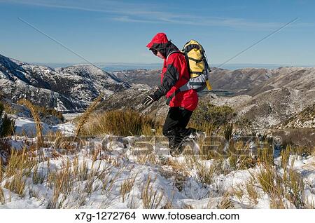 Winter tramping in the Canterbury high country View Large Photo Image Picture - Winter tramping in the Canterbury high country. Fotosearch