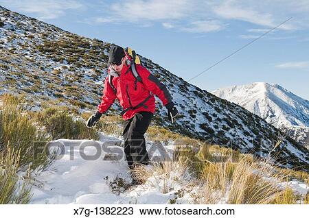 Winter tramping in the Canterbury high country, South Island of New Zealand View Large Photo Image Stock Image - Winter tramping in the Canterbury high country, South Island of New Zealand. Fotosearch