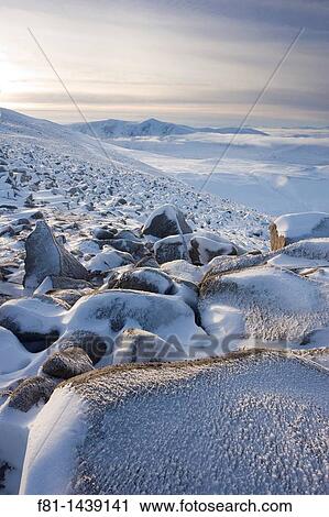 Winter view from Creag Chalamain to Sgor Gaoith, Grampian mountains, Cairngorms National Park, Scotland, January View Large Photo Image Stock Image - Winter view from Creag Chalamain to Sgor Gaoith, Grampian mountains, Cairngorms National Park, Scotland, January. Fotosearch