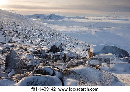 Winter view from Creag Chalamain to Sgor Gaoith, Grampian Mountains, Cairngorms National Park, Scotland, January View Large Photo Image Stock Image - Winter view from Creag Chalamain to Sgor Gaoith, Grampian Mountains, Cairngorms National Park, Scotland, January. Fotosearch