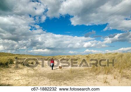 Stock Image - Winterton Dunes and dog walkers Norfolk September. Fotosearch