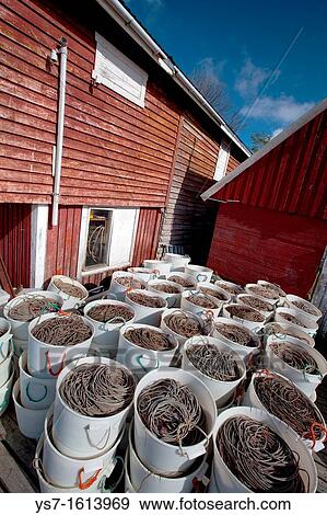 Stock Photo - Wire and fish hooks in the fishermen harbour of Sorv? gen village, Moskenesoy island, Lofoten archipelago, Nordland county, Norway, Europe. Fotosearch