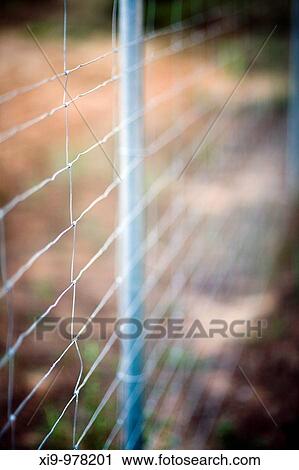 Stock Image - Wire fence in the countryside, Seville, Spain. Fotosearch