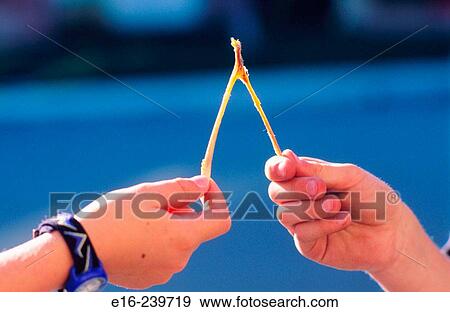 wishbone pull View Large Photo Image Stock Photo - wishbone pull. Fotosearch
