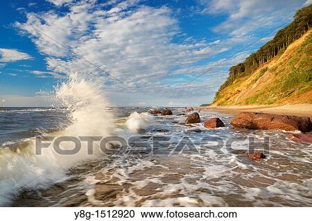 Wolin National Park, Baltic Sea, Poland, Europe View Large Photo Image Stock Image - Wolin National Park, Baltic Sea, Poland, Europe. Fotosearch