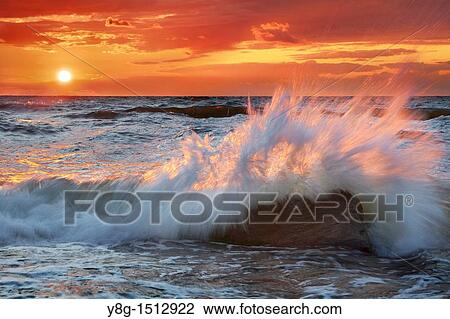 Wolin National Park, Baltic Sea, Poland, Europe View Large Photo Image Stock Image - Wolin National Park, Baltic Sea, Poland, Europe. Fotosearch