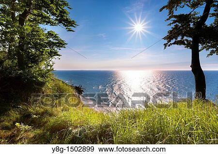 Wolin National Park, Baltic Sea, Poland, Europe View Large Photo Image Stock Photo - Wolin National Park, Baltic Sea, Poland, Europe. Fotosearch