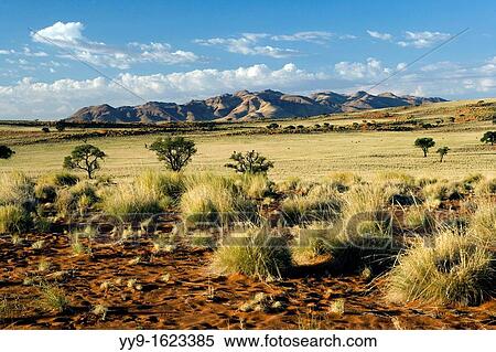 Wolwedans Landscape - NamibRand Nature Reserve - Hardap Region, Namibia, Africa View Large Photo Image Stock Photography - Wolwedans Landscape - NamibRand Nature Reserve - Hardap Region, Namibia, Africa. Fotosearch