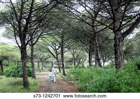 Woman and daughter walking in Brea Natural Park and Marismas de Barbate. Caos de Meca. Cadiz province. Andalucia, Spain View Large Photo Image Stock Image - Woman and daughter walking in Brea Natural Park and Marismas de Barbate. Caos de Meca. Cadiz province. Andalucia, Spain. Fotosearch