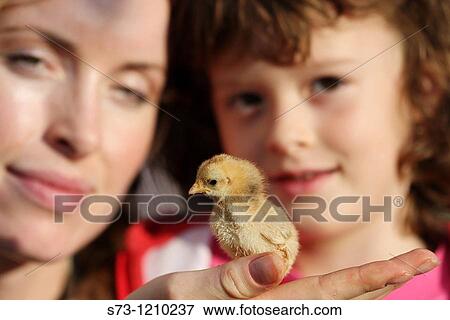 Woman and girl with little chicken in hands View Large Photo Image Stock Photo - Woman and girl with little chicken in hands. Fotosearch