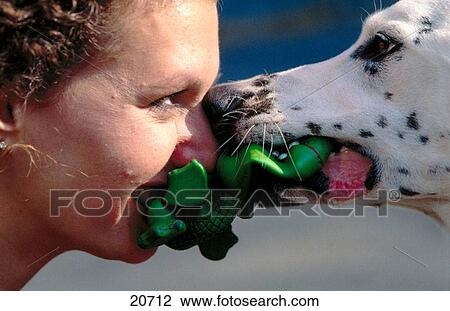 Stock Image - Woman and her black and white spotted dog? nose-to-nose?, both pulling on a dog toy in their mouths playing tug-of-war. Fotosearch