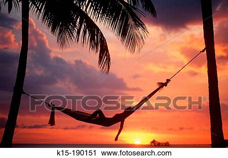 Woman asleep in hammock against palm trees and tropical sunset sky View Large Photo Image Stock Image - Woman asleep in hammock against palm trees and tropical sunset sky. Fotosearch