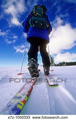 Woman backcountry skiing on Deadline Ridge high in the Goose Creek Mountains of southern Idaho USA View Large Photo Image Stock Image - Woman backcountry skiing on Deadline Ridge high in the Goose Creek Mountains of southern Idaho USA. Fotosearch