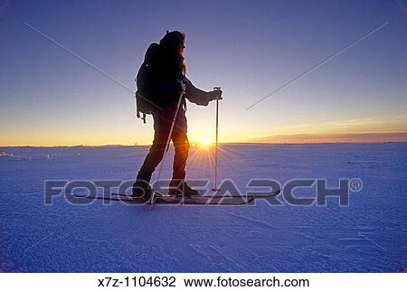Woman, backcountry skiing on Deadline Ridge high in the Goose Creek Mountains of southern Idaho View Large Photo Image Stock Image - Woman, backcountry skiing on Deadline Ridge high in the Goose Creek Mountains of southern Idaho. Fotosearch