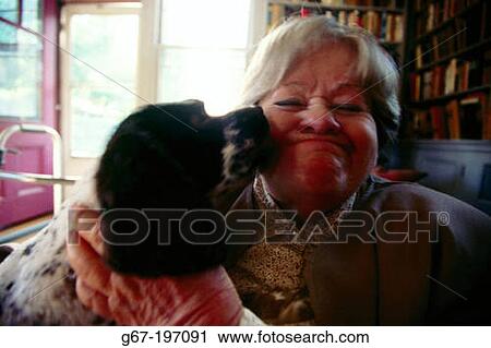 Stock Image - Woman being licked by Cocker Spaniel. Fotosearch