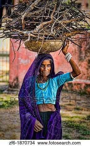 Picture - Woman carrying firewood on head in jungle of Ranthambore National Park in Rajastan India. Fotosearch