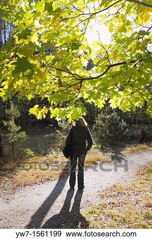 Woman catching sun in autumn forest View Large Photo Image Stock Photo - Woman catching sun in autumn forest. Fotosearch