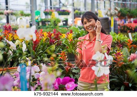 Woman choosing plants View Large Photo Image Picture - Woman choosing plants. Fotosearch