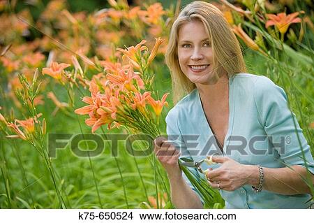 woman cutting a bouquet of lillies View Large Photo Image Picture - woman cutting a bouquet of lillies. Fotosearch