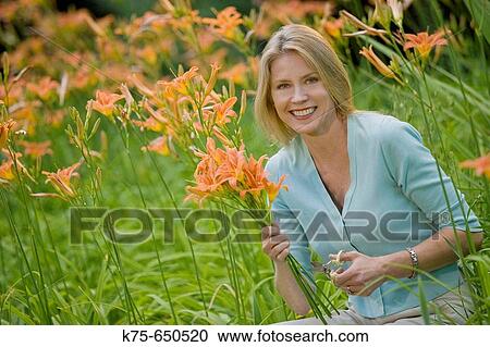 woman cutting a bouquet of lillies View Large Photo Image Stock Image - woman cutting a bouquet of lillies. Fotosearch