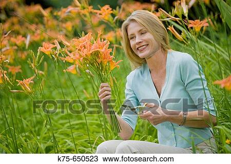 woman cutting a bouquet of lillies View Large Photo Image Stock Image - woman cutting a bouquet of lillies. Fotosearch
