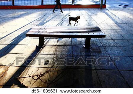 Woman, dog and bench, Valencia, Spain View Large Photo Image Stock Image - Woman, dog and bench, Valencia, Spain. Fotosearch
